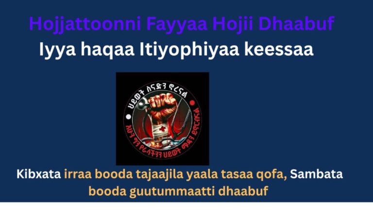 Fincila hojjettoota fayyaa Itiyoophiyaa waggaa 2025